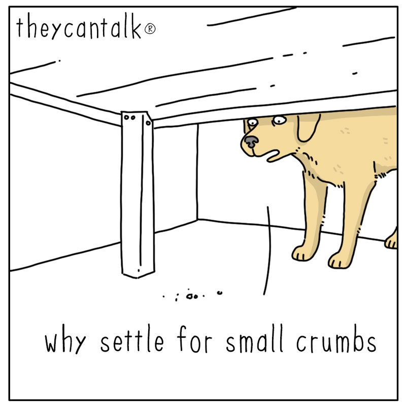 https://cdn.tinyview.com/they-can-talk/2024/09/15/crumbs/dog_crumbs1.jpg