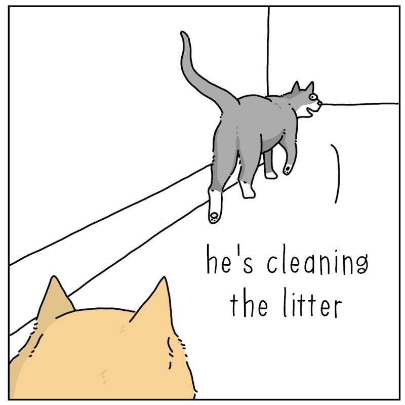 https://cdn.tinyview.com/they-can-talk/2024/09/23/alert/cat_litter4.jpg