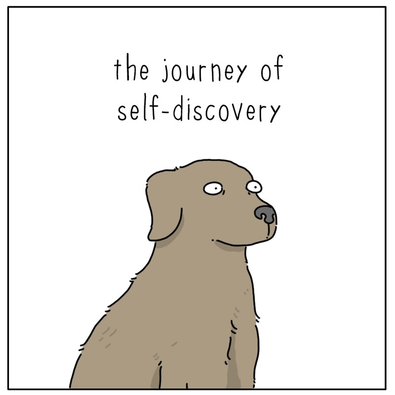 https://cdn.tinyview.com/they-can-talk/2024/09/29/self-discovery/dog_self2.jpg