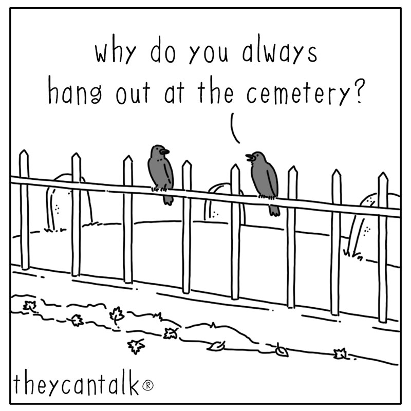 https://cdn.tinyview.com/they-can-talk/2024/10/21/image/crow_cemetary1.jpg