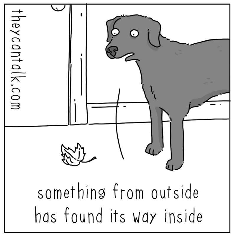 https://cdn.tinyview.com/they-can-talk/2024/11/18/leaf/dog_leaf1.jpg
