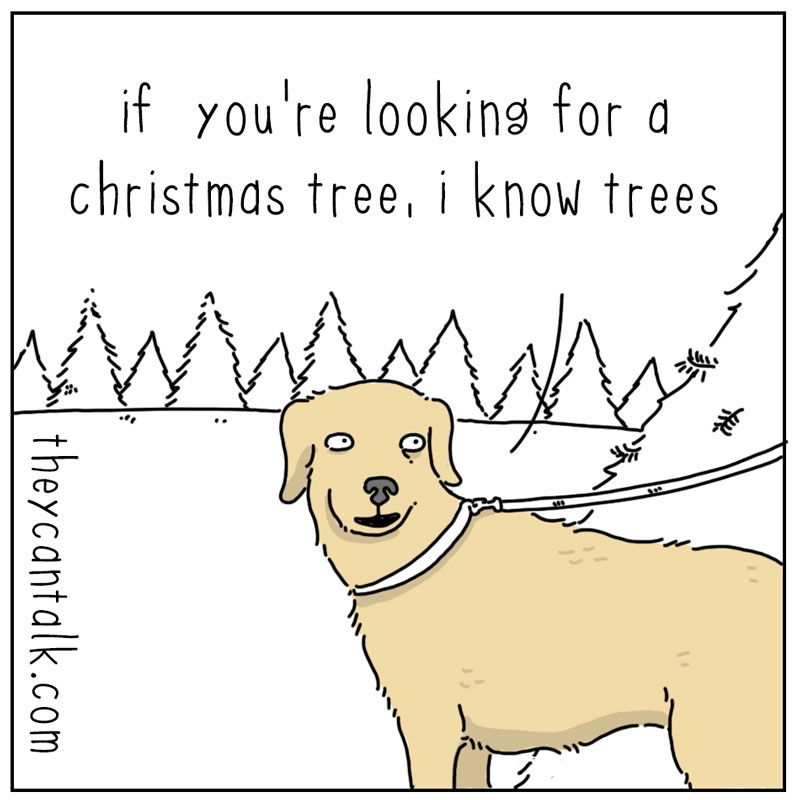 https://cdn.tinyview.com/they-can-talk/2024/12/02/qualified/dog_treepro1.jpg