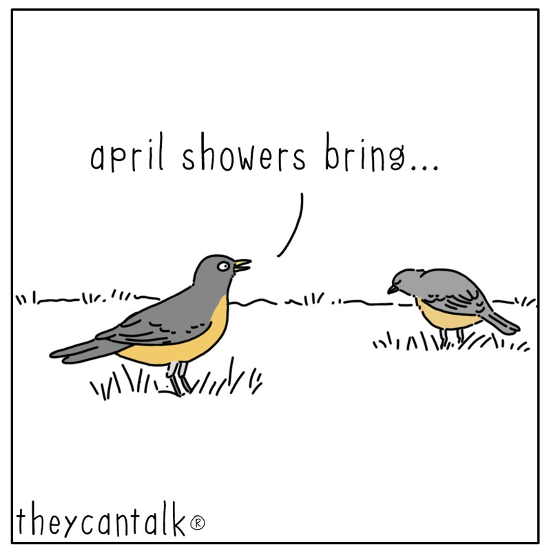 https://cdn.tinyview.com/they-can-talk/2025/04/21/april-showers/bird_aprilshowers1.jpg