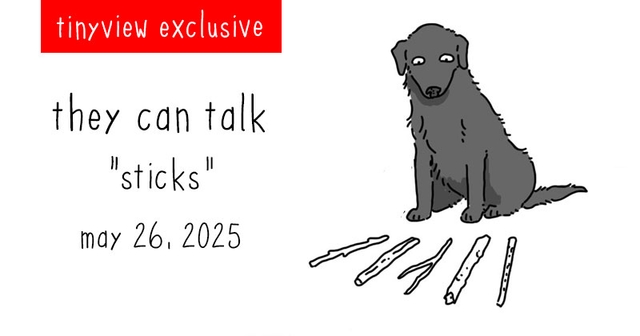 https://cdn.tinyview.com/they-can-talk/2025/05/26/sticks/tinyview_preview.jpg