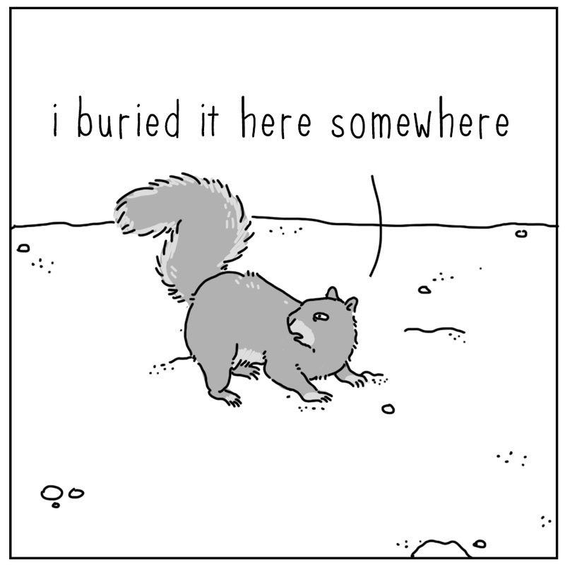 https://cdn.tinyview.com/they-can-talk/2025/06/02/buried/squirrel_buried2.jpg