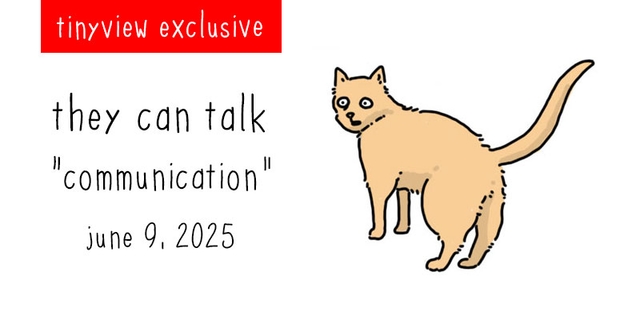 https://cdn.tinyview.com/they-can-talk/2025/06/09/communication/tinyview_preview.jpg