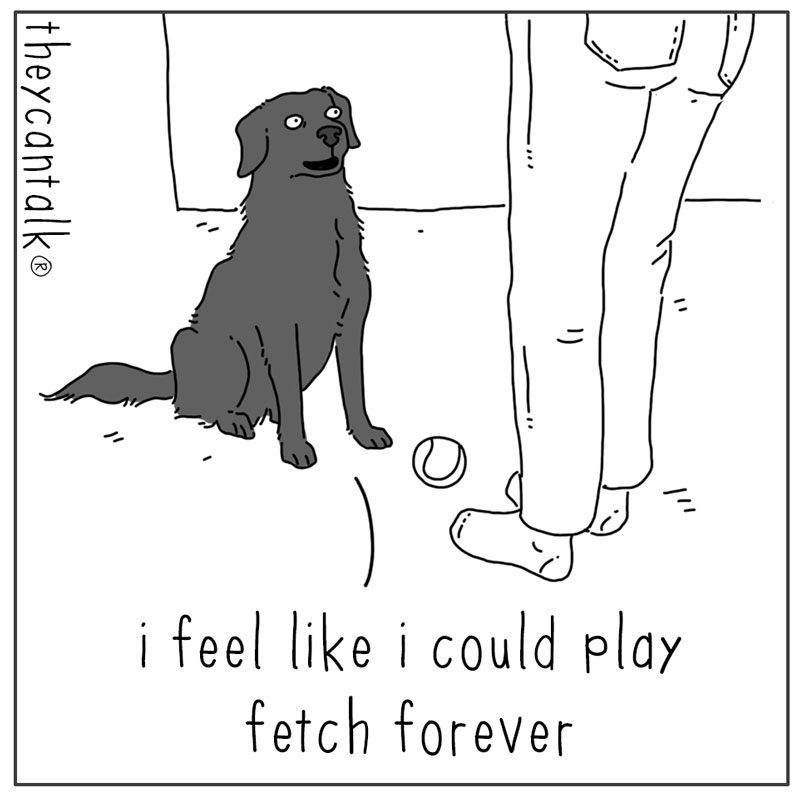 https://cdn.tinyview.com/they-can-talk/2025/06/16/forever/dog_fetchforever1.jpg