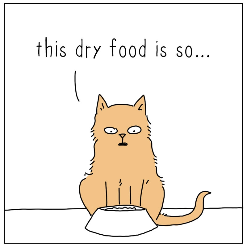 https://cdn.tinyview.com/they-can-talk/2025/07/25/dry-food/cat_dry1.jpg