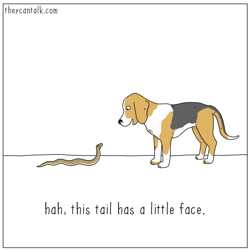 https://cdn.tinyview.com/they-can-talk/2025/08/07/snake/dog_snake.jpg