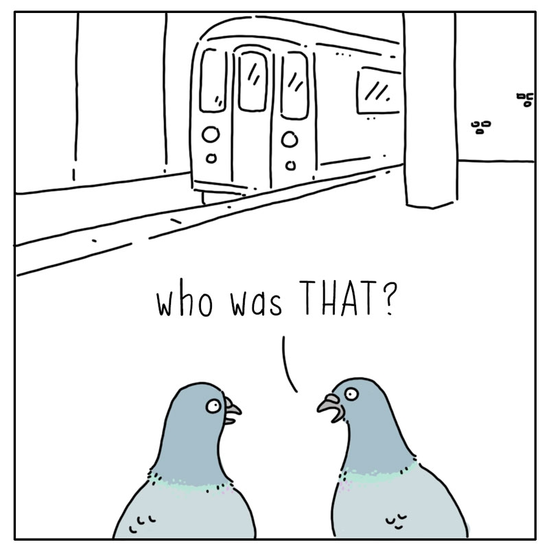https://cdn.tinyview.com/they-can-talk/2025/08/11/train/pigeon_train4.jpg