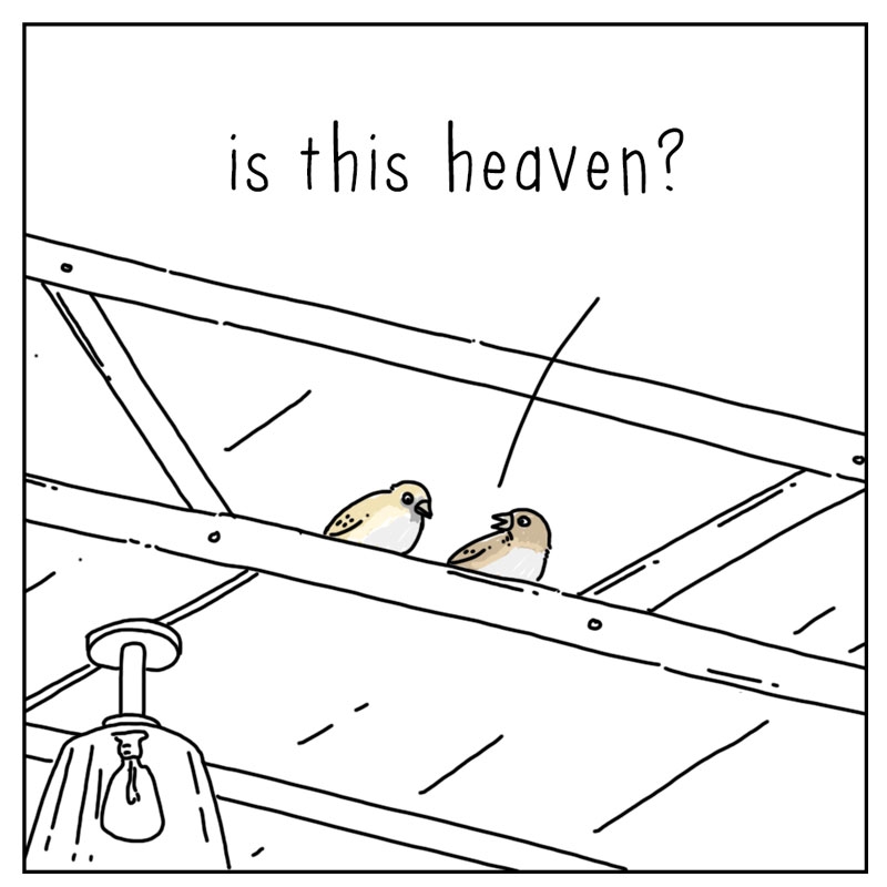 https://cdn.tinyview.com/they-can-talk/2025/08/29/heaven/bird_heaven1.jpg