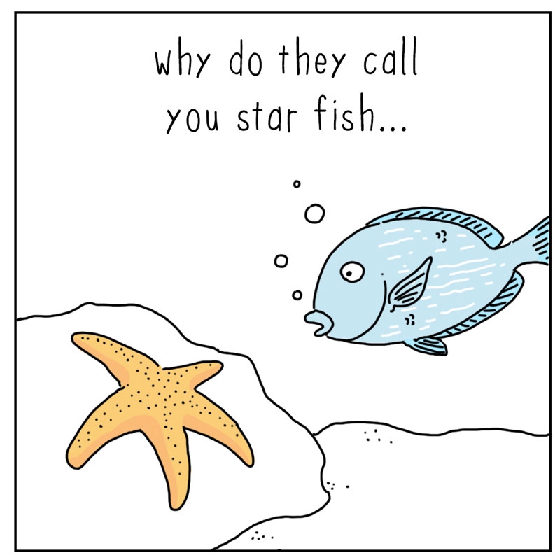 https://cdn.tinyview.com/they-can-talk/2025/09/08/star/starfish_star1.jpg