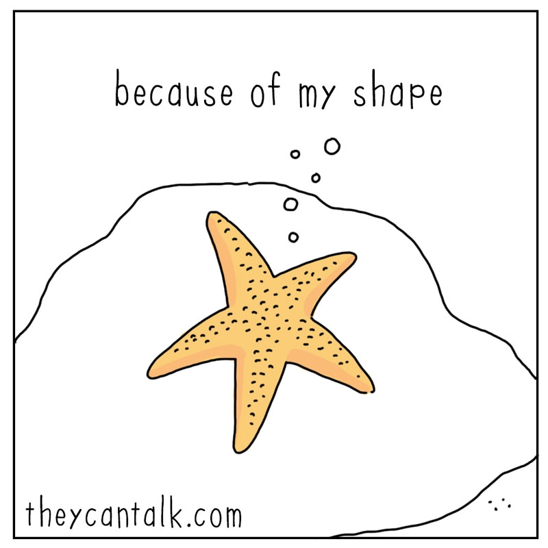 https://cdn.tinyview.com/they-can-talk/2025/09/08/star/starfish_star3.jpg