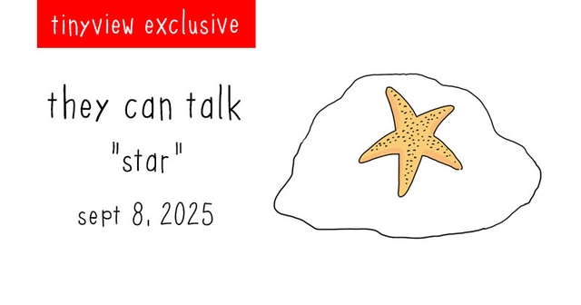 https://cdn.tinyview.com/they-can-talk/2025/09/08/star/tinyview_preview.jpg