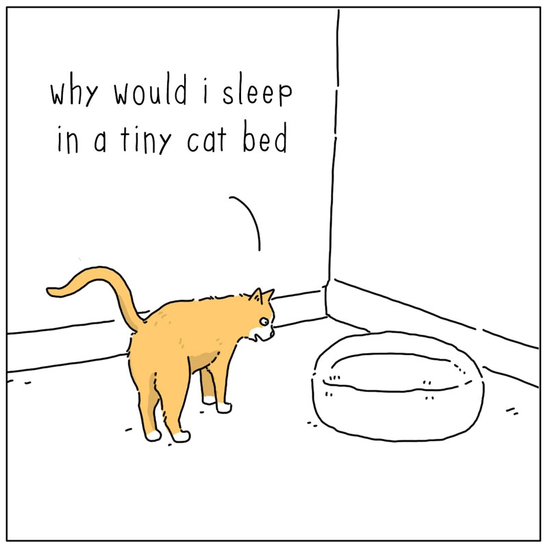 https://cdn.tinyview.com/they-can-talk/2025/09/12/bed/cat_giantbed1.jpg