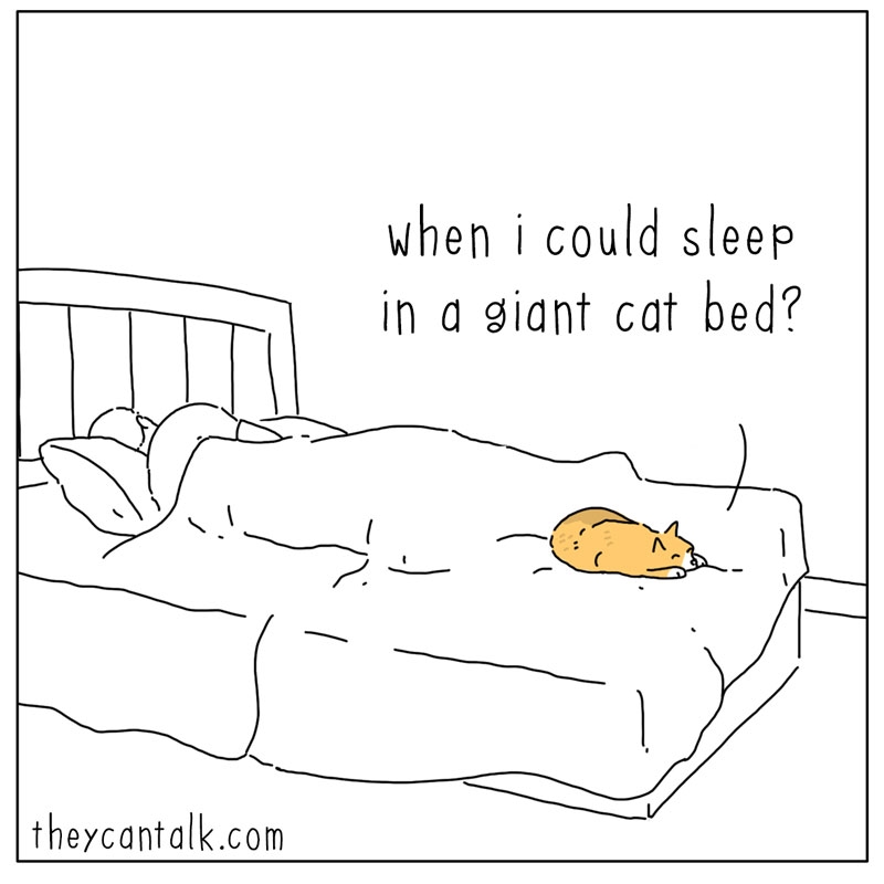 https://cdn.tinyview.com/they-can-talk/2025/09/12/bed/cat_giantbed2.jpg