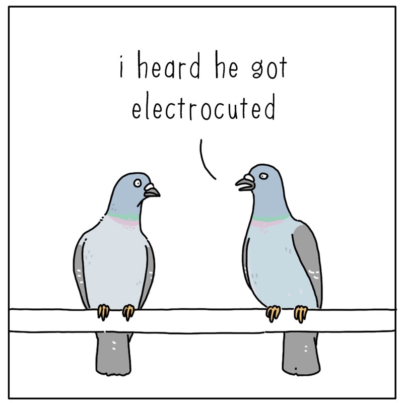 https://cdn.tinyview.com/they-can-talk/2025/09/22/electrocuted/pigeon_electrocuted1.jpg