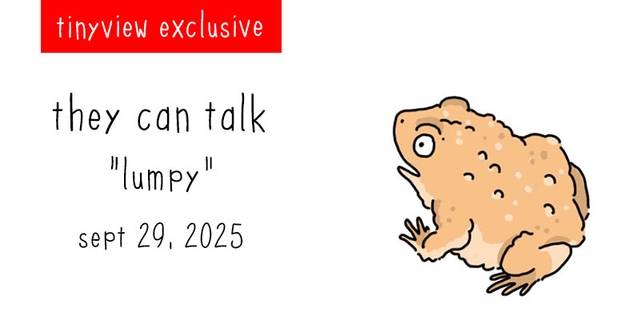 https://cdn.tinyview.com/they-can-talk/2025/09/29/lumpy/tinyview_preview.jpg