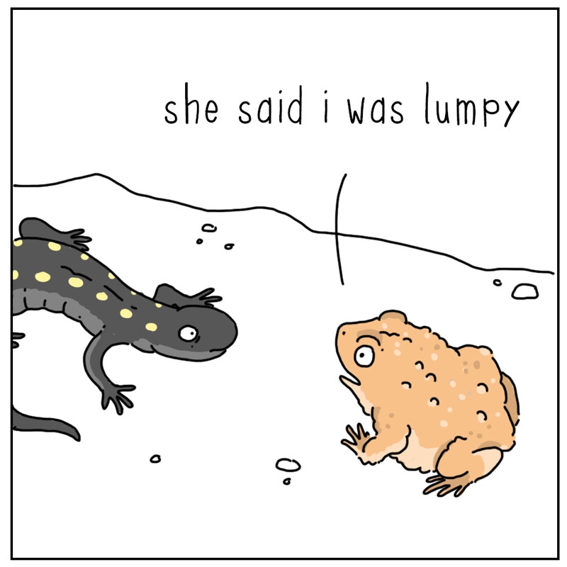 https://cdn.tinyview.com/they-can-talk/2025/09/29/lumpy/toad_lumpy1.jpg