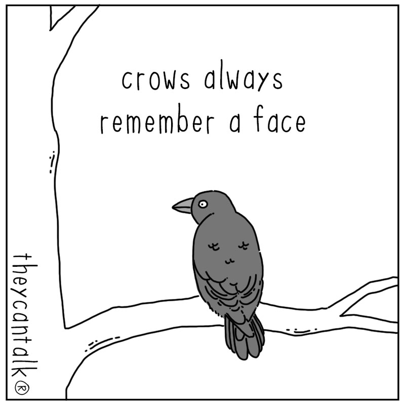 https://cdn.tinyview.com/they-can-talk/2025/10/10/remember/crow_remember1.jpg