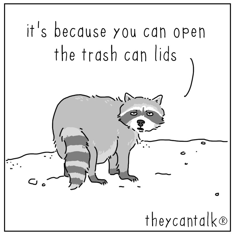 https://cdn.tinyview.com/they-can-talk/2025/10/20/leader/raccoon_leader4.jpg