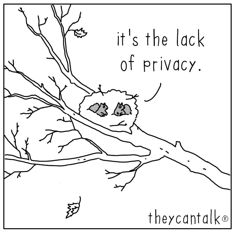 https://cdn.tinyview.com/they-can-talk/2025/11/24/grievance/squirrel_privacy3.jpg