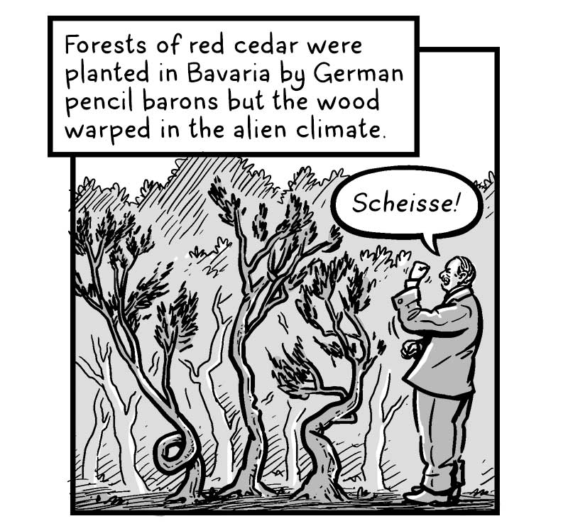 https://cdn.tinyview.com/brief-histories/2025/02/19/a-brief-history-of-pencils/6.jpg