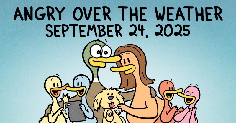 https://cdn.tinyview.com/fowl-language/2025/09/24/angry-over-the-weather/angry-over-weather-header.jpg