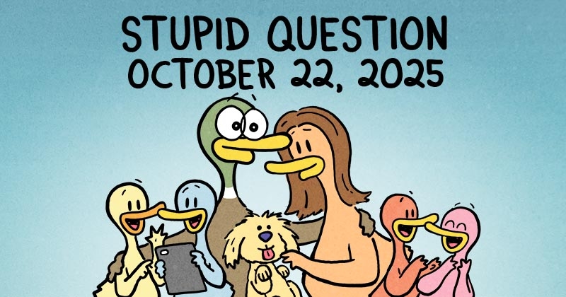 https://cdn.tinyview.com/fowl-language/2025/10/22/stupid-question/stupid-question-header.jpg