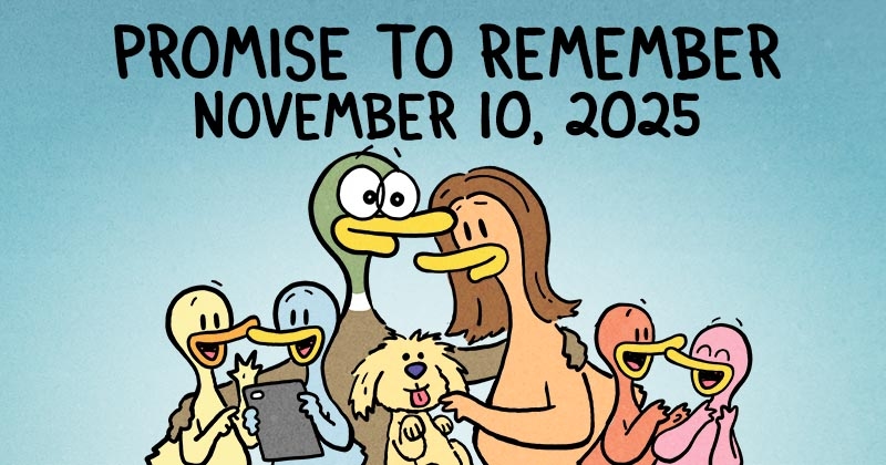 https://cdn.tinyview.com/fowl-language/2025/11/10/promise-to-remember/Promise-to-remember-header.jpg