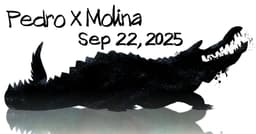 About the “strategy” of appeasement