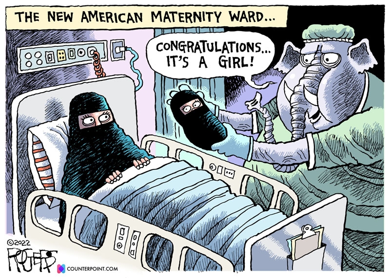 https://cdn.tinyview.com/rob-rogers/2022/05/06/american-maternity/20220506_American_Maternity.jpg