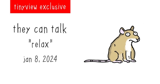 https://cdn.tinyview.com/they-can-talk/2024/01/08/relax/tinyview_preview.jpg
