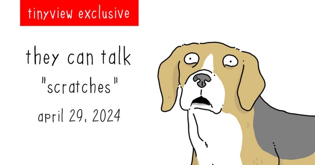 https://cdn.tinyview.com/they-can-talk/2024/04/28/scratches/tinyview_preview.jpg