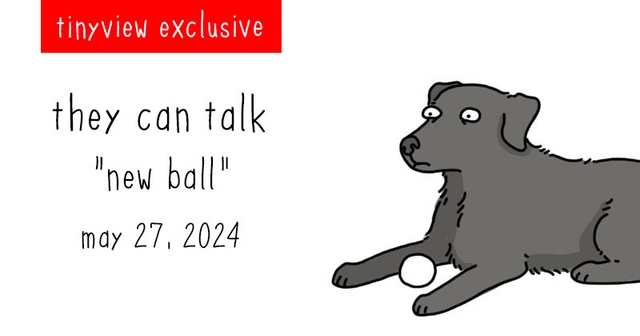 https://cdn.tinyview.com/they-can-talk/2024/05/27/new-ball/tinyview_preview.jpg