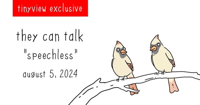 https://cdn.tinyview.com/they-can-talk/2024/08/05/speechless/tinyview_preview.jpg