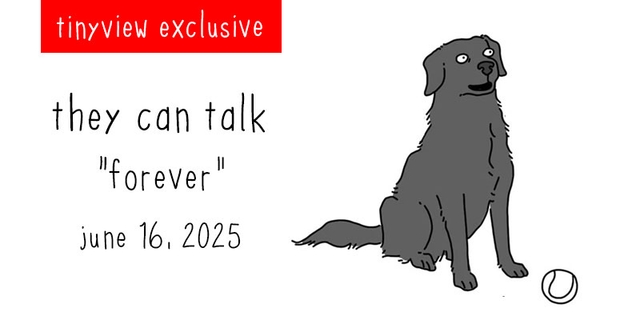 https://cdn.tinyview.com/they-can-talk/2025/06/16/forever/tinyview_preview.jpg