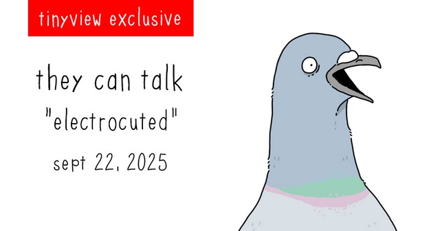 https://cdn.tinyview.com/they-can-talk/2025/09/22/electrocuted/tinyview_preview.jpg